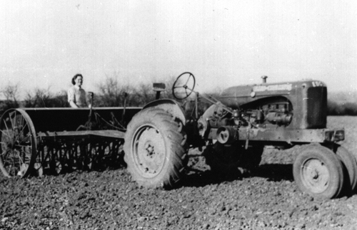 Peggy Coombes riding the drill at Gawcombe. (1943 )