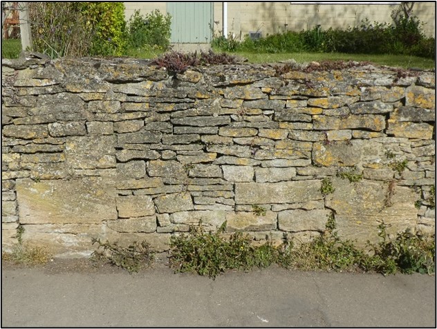 This image has an empty alt attribute; its file name is Fig14WallMilton.jpg