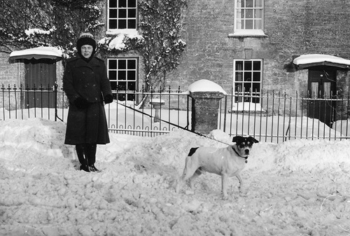 Joey out for his walk in January 1982 in Ascott Road