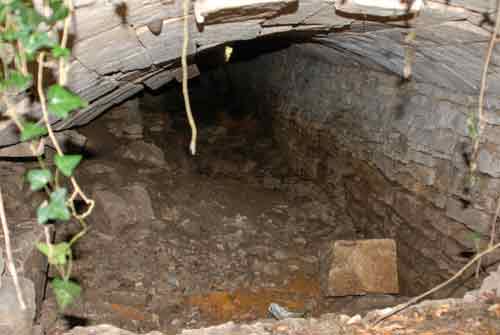 Tunnel for sheep to pass under the lime tree drive in the Court gardens.…