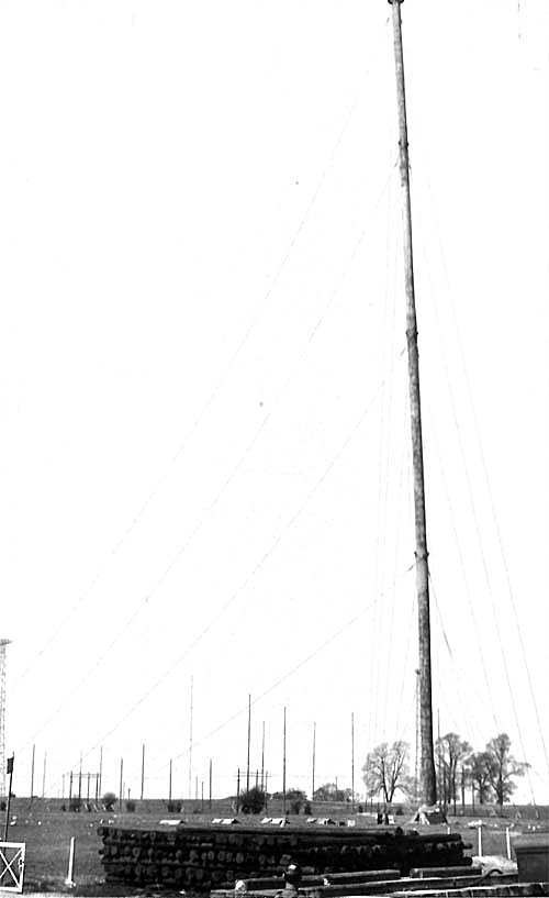 DWB-LRS1.jpg