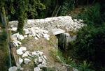 ELW0403.jpg