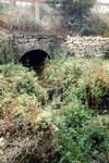 ELW0409.jpg