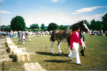 2 Shipton 1995.jpg