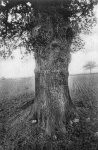 AM00166.jpg