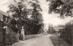CRB0115.jpg