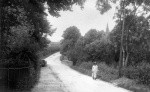 JVW0033.jpg