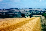 imd00027.jpg