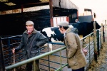 imd00046.jpg