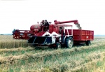 imd00054.jpg