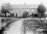 imd00055.jpg