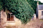 imd00069.jpg