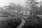 imd00072.jpg