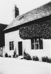 imd000192.jpg