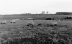 imde00057.jpg