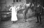 awv0164.jpg