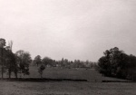 CPC0096.jpg