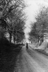 CRB0099.jpg