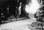 CRB0054.jpg