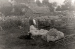 CRB0091.jpg