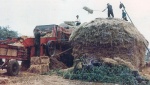 CRB0111.jpg